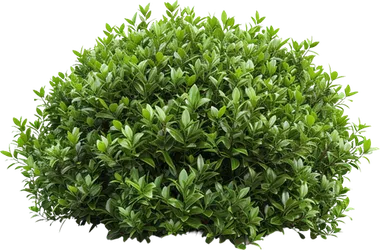 Landscaper services in Prescott AZ